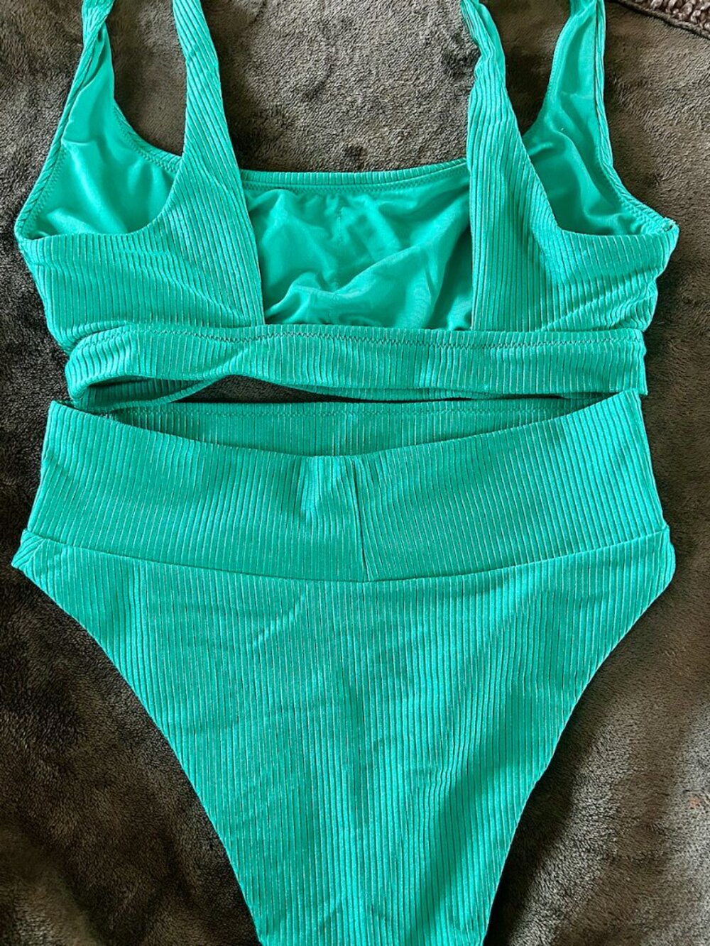Aerie Shine Bikini Set